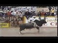 Jaripeo de San Jose de Nogalios