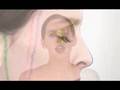 Julie Feeney - ACHING