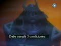 Pet Shop of Horrors - Despair Esp. 2/3 Pet Shop of Horrors - Despair Esp. 2/3