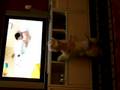 videos de Web e seu programa favorito na TV