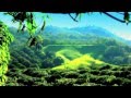 Costa Rica Gold Coast With The Silver Lining - YouTube