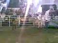 oseguera vs el mariachi