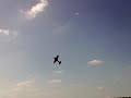 Lior Zahavi Hobbycity Yak 55EP