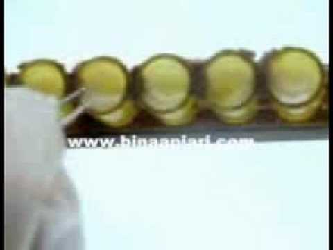 how to harvest royal jelly