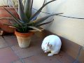 N�vol a la terrassa
