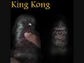 King Kong  Muff Tumblers Birds 2005 - 329