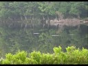 still image from video