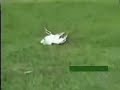 Tripp Isenhour Hits Endangered Bird (Raw Video) Tripp Isenhour Hits Endangered Bird (Raw Video)