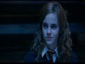 Hermione Granger Girl Next Door Chipmunk Hermione Granger Girl Next Door Chipmunk