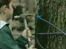 Maple Sugaring: A Springtime Tradition (part 2)
