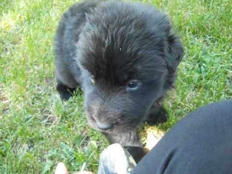 Ethan at 4 weeks of age