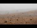 videos de Find the Scent Cone? Not!