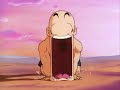 Chi-Chi knows who\ Chi-Chi knows who\