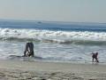 November 2008 Coronado Beach.AVI