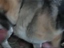 Thumbnail #1