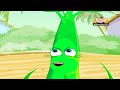 Learn about Plants in Hindi - Life Cycle