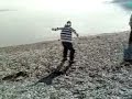 mwi flip lol