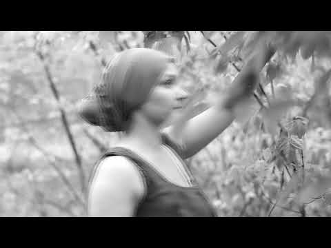video-show