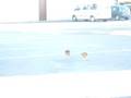 videos de mdr