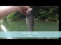 Click here to watch this video Peche La Menoge
