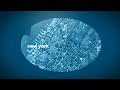Phonebooth Typography Animation