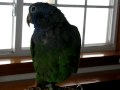 Picture 206.avi
