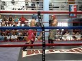 DELFIM MMA COMBAT 3
