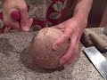 Making Coconut Milk in the Omega VERT VRT330 Juicer