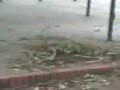 Trampa del rasta para que G.A. (gada) pase vaveboard