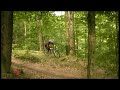 Bikesession im Wald Bikesession im Wald