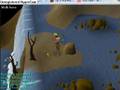 videos de walking on water runescape