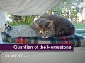 real gorean free companionship ceremony 2007