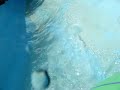 world-of-maple-aqua-land.html