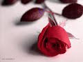 Una canzone per te Amica Speciale