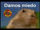 No asustamos, damos miedo. No asustamos, damos miedo.