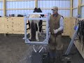 Mini Lift & Farrier in harmony Mini Lift & Farrier in harmony