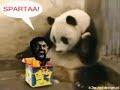 300 This is SPARTA!!! ~ EXTENDED Version Remix~ Part 9
