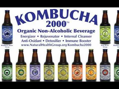 how to harvest kombucha tea