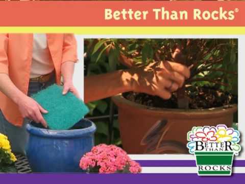 how to replant houseplants