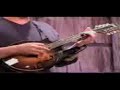 catfish john - the glimmer grass band