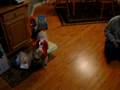 santa dog