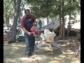 Homelite 770GS chainsaw