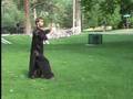 Wudang Tai Ji 28 in Colorado