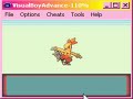 torchic evolution! torchic evolution!
