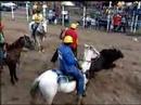 ley de protecci�n animal (parte 4)