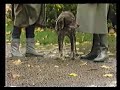 Nokian Boots Promotion Part 2 of 2