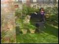 videos de ma chienne a l'obstacle