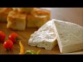 SoulFood Serbia National Tourism Organisation of Serbia Serbia travel * Visit Serbia * Welcome to Serbia Soulfood Serbia is a short promotional video of the National Tourism Organisation of Serbia representing autochthonous food and beverages. Gastronomic products featured in the video are an essential part of the country's tourism offer. Serbia has always straddled East and West, not only in a geographical sense, but also politically and culturally. At first, Serbia found itself between the Byzantine and Roman empires, then it became a frontier between the Ottoman Empire and the Christian West. This centuries-long position in the path of conquering armies from both sides has led to constant migrations and the mixing of populations. The result is a multiethnic, multicultural and multiconfessional society in Serbia. And even during communism the inhabitants of this region were somewhere between the Warsaw Pact and NATO. In contrast to other post-communist countries in the region, the people of Serbia have a more comprehensive education, a more contemporary approach to life, better knowledge of foreign languages and more readily accept new technologies and behaviours. Republic of Serbia , Republika Srbija, Europe, tourism presentation * Its capital city Belgrade * My Beautiful Serbia - Srbija * Hrana sa dušom * Turizam Srbije - prirodu i zdravu ishranu * TOS - Turisticka organizacija Srbije