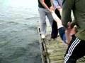 videos de 