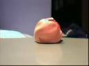 Silly Putty Alive